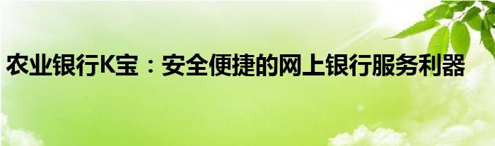 农业银行K宝：安全便捷的网上银行服务利器