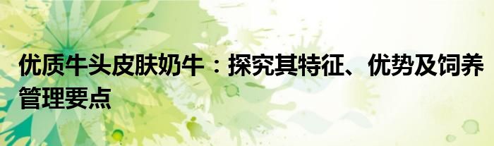 优质牛头皮肤奶牛：探究其特征、优势及饲养管理要点