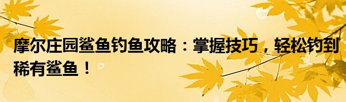 摩尔庄园鲨鱼钓鱼攻略：掌握技巧，轻松钓到稀有鲨鱼！