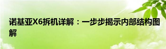 诺基亚X6拆机详解：一步步揭示内部结构图解