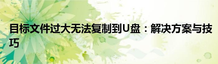 目标文件过大无法复制到U盘：解决方案与技巧