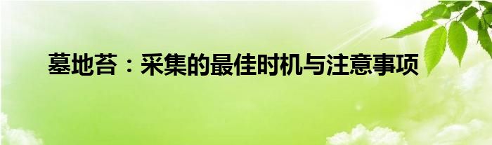 墓地苔：采集的最佳时机与注意事项