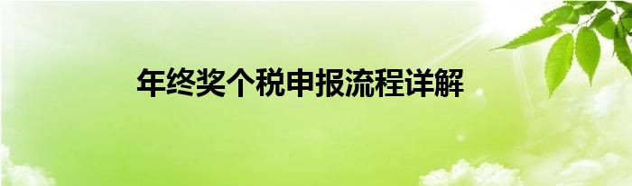 年终奖个税申报流程详解