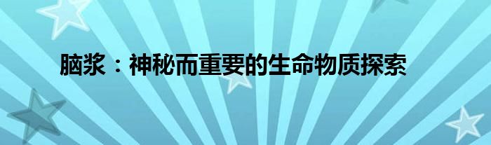 脑浆：神秘而重要的生命物质探索