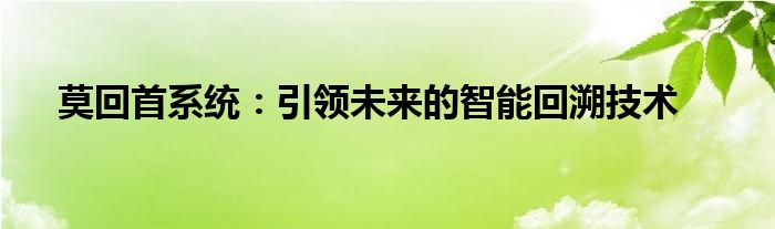 莫回首系统：引领未来的智能回溯技术