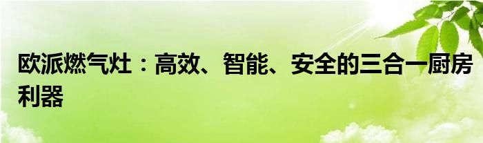 欧派燃气灶：高效、智能、安全的三合一厨房利器