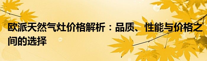 欧派天然气灶价格解析：品质、性能与价格之间的选择