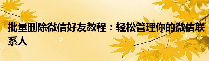 批量删除微信好友教程：轻松管理你的微信联系人