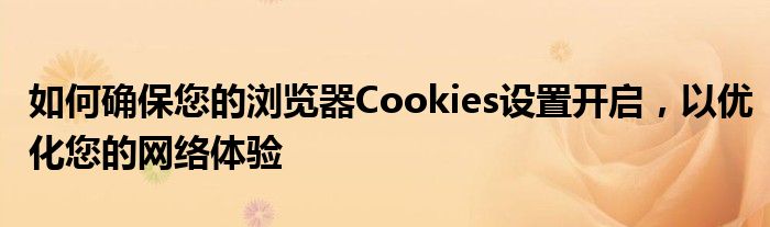 如何确保您的浏览器Cookies设置开启，以优化您的网络体验