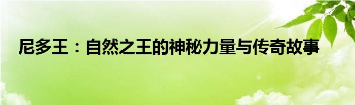 尼多王：自然之王的神秘力量与传奇故事