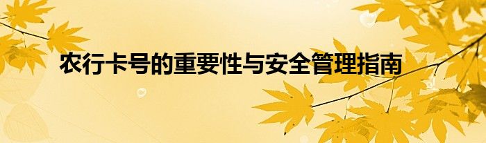 农行卡号的重要性与安全管理指南