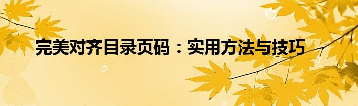 完美对齐目录页码：实用方法与技巧