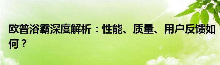 欧普浴霸深度解析：性能、质量、用户反馈如何？