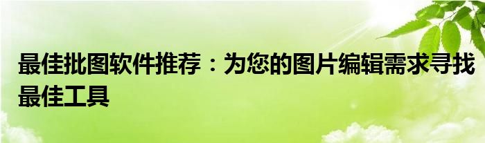 最佳批图软件推荐：为您的图片编辑需求寻找最佳工具