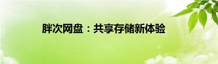 胖次网盘：共享存储新体验