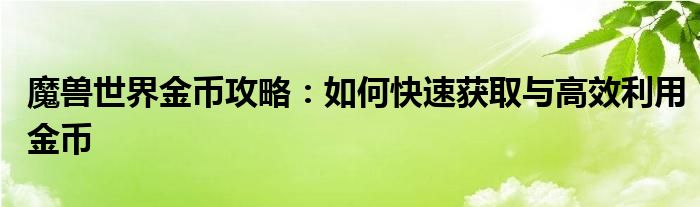 魔兽世界金币攻略：如何快速获取与高效利用金币