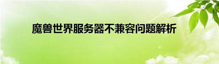 魔兽世界服务器不兼容问题解析