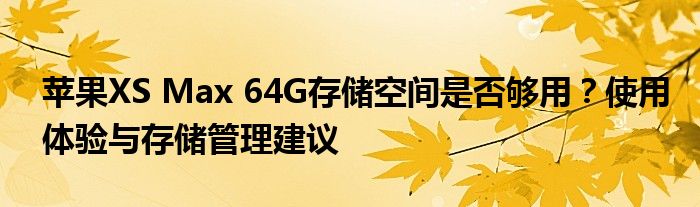 苹果XS Max 64G存储空间是否够用？使用体验与存储管理建议