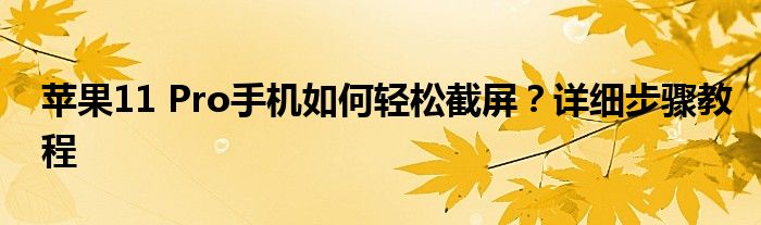 苹果11 Pro手机如何轻松截屏？详细步骤教程