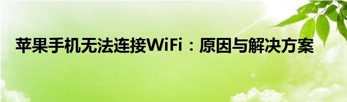 苹果手机无法连接WiFi：原因与解决方案