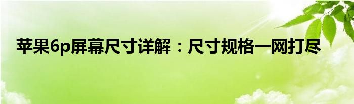 苹果6p屏幕尺寸详解：尺寸规格一网打尽