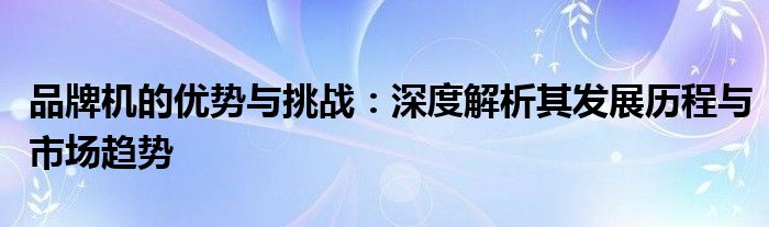 品牌机的优势与挑战：深度解析其发展历程与市场趋势