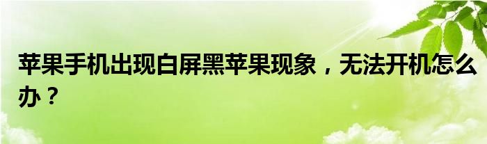 苹果手机出现白屏黑苹果现象，无法开机怎么办？