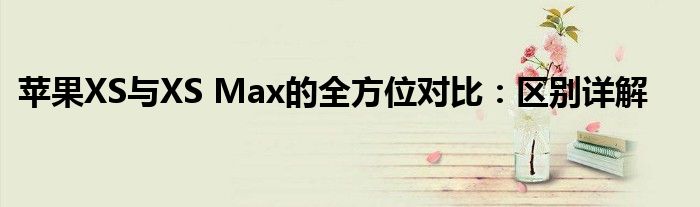 苹果XS与XS Max的全方位对比：区别详解