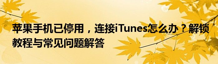 苹果手机已停用，连接iTunes怎么办？解锁教程与常见问题解答