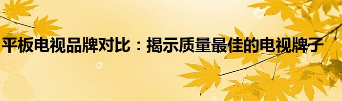 平板电视品牌对比：揭示质量最佳的电视牌子