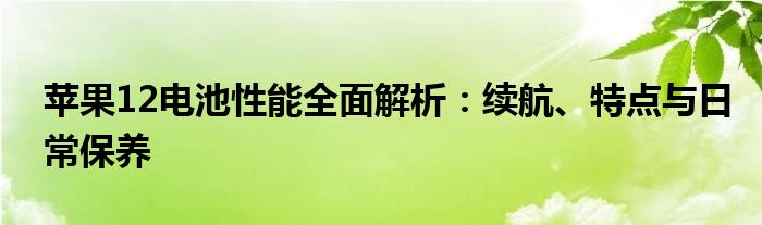 苹果12电池性能全面解析：续航、特点与日常保养