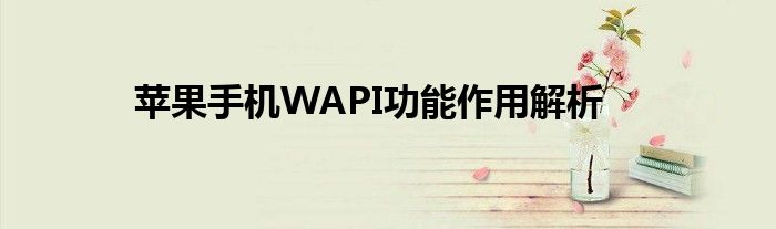 苹果手机WAPI功能作用解析