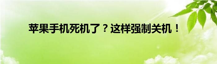 苹果手机死机了？这样强制关机！