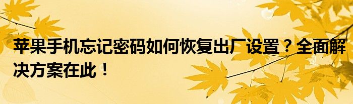 苹果手机忘记密码如何恢复出厂设置？全面解决方案在此！