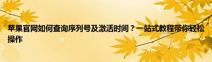 苹果官网如何查询序列号及激活时间？一站式教程带你轻松操作