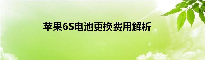 苹果6S电池更换费用解析