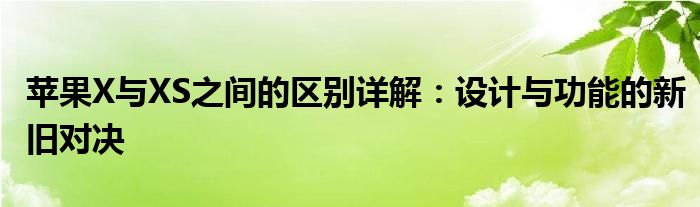 苹果X与XS之间的区别详解：设计与功能的新旧对决