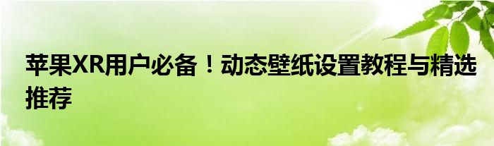 苹果XR用户必备！动态壁纸设置教程与精选推荐