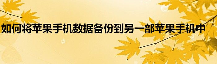 如何将苹果手机数据备份到另一部苹果手机中