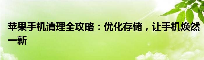 苹果手机清理全攻略：优化存储，让手机焕然一新