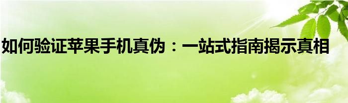 如何验证苹果手机真伪：一站式指南揭示真相