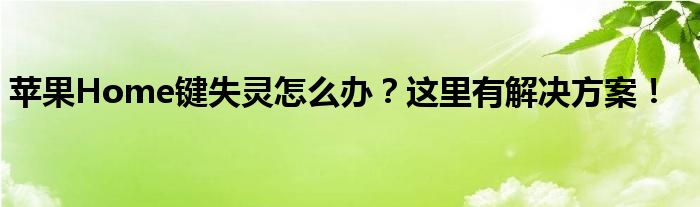 苹果Home键失灵怎么办？这里有解决方案！