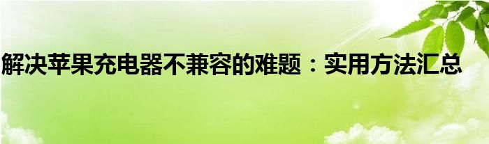 解决苹果充电器不兼容的难题：实用方法汇总