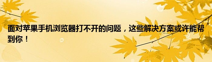 面对苹果手机浏览器打不开的问题，这些解决方案或许能帮到你！