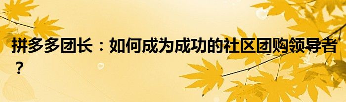 拼多多团长：如何成为成功的社区团购领导者？