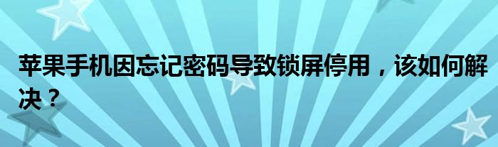 苹果手机因忘记密码导致锁屏停用，该如何解决？