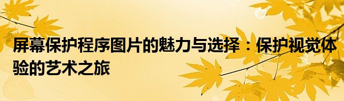 屏幕保护程序图片的魅力与选择：保护视觉体验的艺术之旅