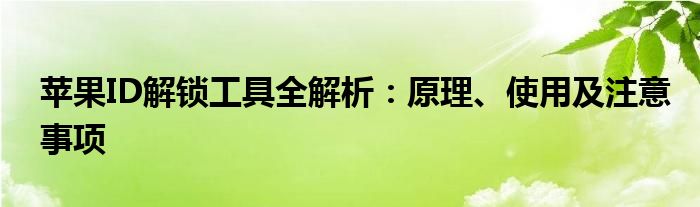 苹果ID解锁工具全解析：原理、使用及注意事项