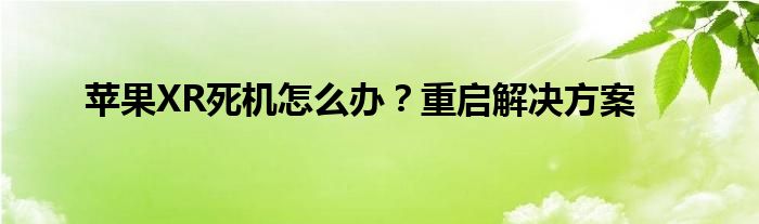 苹果XR死机怎么办？重启解决方案