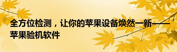 全方位检测，让你的苹果设备焕然一新——苹果验机软件